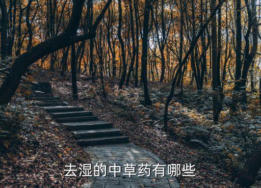 去濕的中草藥有哪些