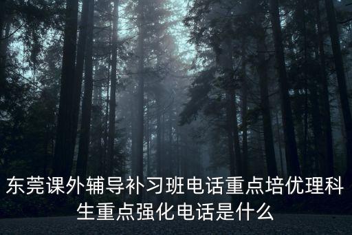 東莞課外輔導補習班電話重點培優理科生重點強化電話是什么