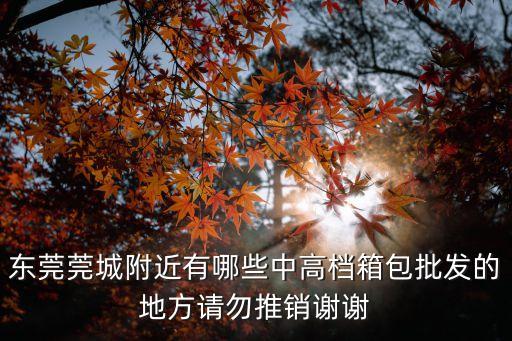 東莞莞城附近有哪些中高檔箱包批發(fā)的地方請勿推銷謝謝