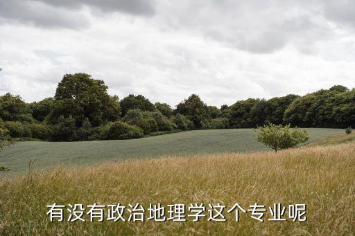 有沒有政治地理學這個專業呢