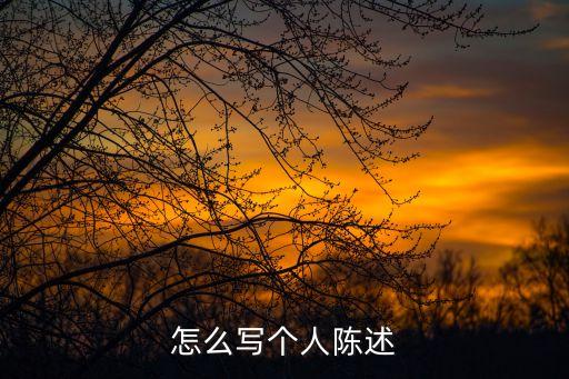 自我陳述怎么寫，關于個人陳述怎么寫