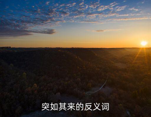 突如其來的反義詞