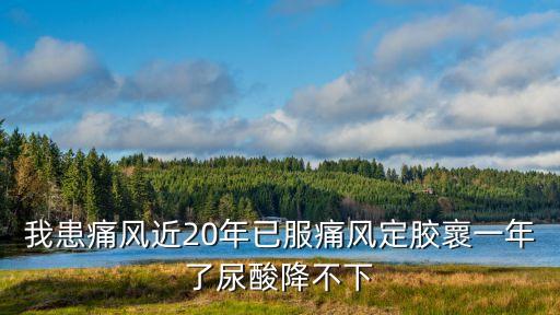 上海市岳陽(yáng)醫(yī)院陳潔，我患痛風(fēng)近20年已服痛風(fēng)定膠褱一年了尿酸降不下