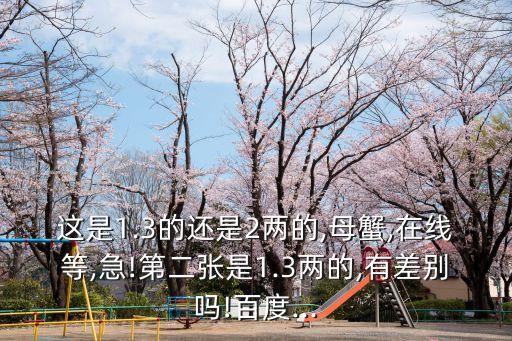 這是1.3的還是2兩的,母蟹,在線等,急!第二張是1.3兩的,有差別嗎!百度...