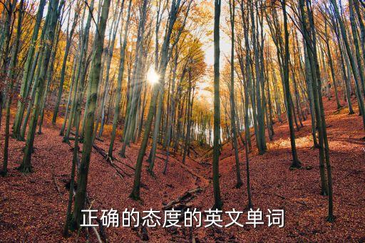 態度的英語，態度的英語怎么寫又有什么含義呢