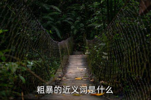 粗暴的意思，粗暴的近義詞