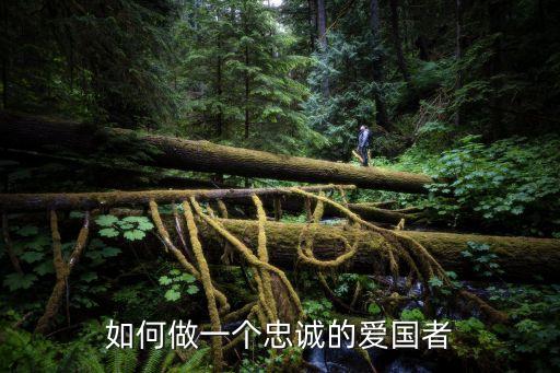 做忠誠的愛國者，如何做忠誠的愛國者