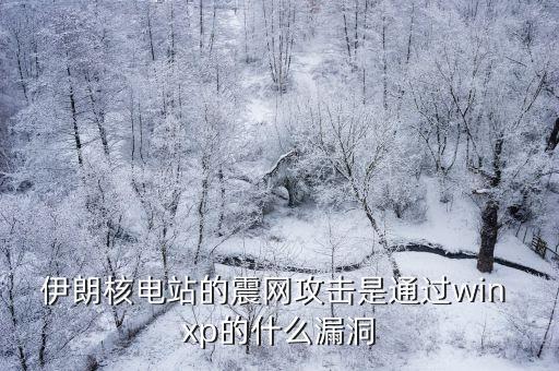 伊朗核電站的震網攻擊是通過win xp的什么漏洞