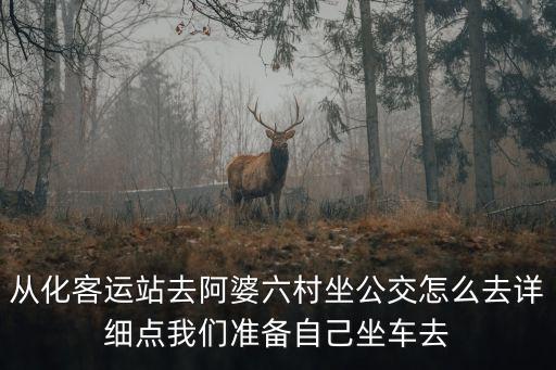 阿婆六村，請問最近有去從化阿婆六村的人嗎
