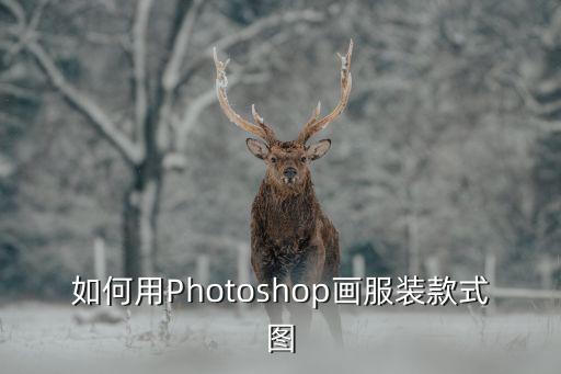 如何用Photoshop畫服裝款式圖
