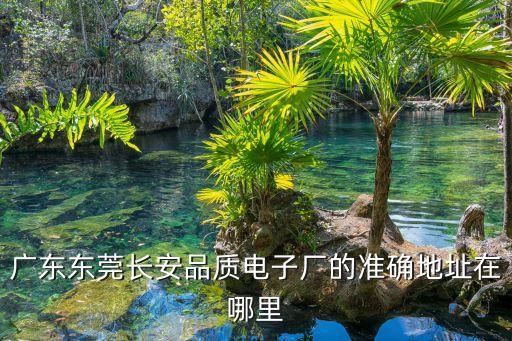 東莞長安國品電子，廣東東莞長安品質(zhì)電子廠的準(zhǔn)確地址在哪里
