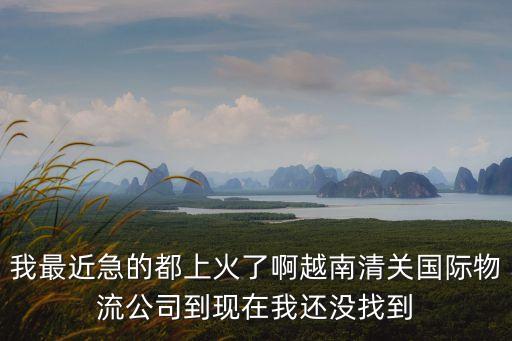我最近急的都上火了啊越南清關(guān)國(guó)際物流公司到現(xiàn)在我還沒(méi)找到