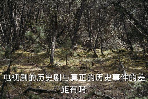 電視劇的歷史劇與真正的歷史事件的差距有嗎