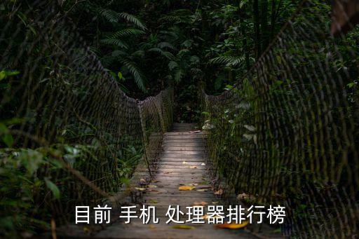 手機處理器排名,三星獵戶座處理器掛載三星手機上
