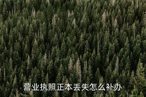 營業執照正本丟失怎么補辦