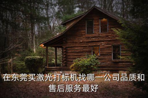 在東莞買激光打標機找哪一公司品質和售后服務最好