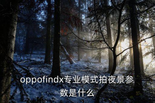 oppofindx專(zhuān)業(yè)模式拍夜景參數(shù)是什么