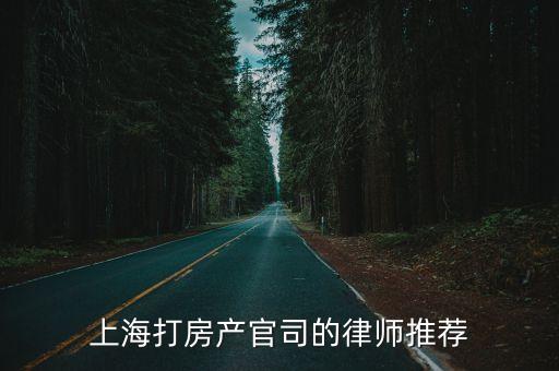 上海市海華永泰律師事務所彭琨，上海閘北區律師最好的是誰