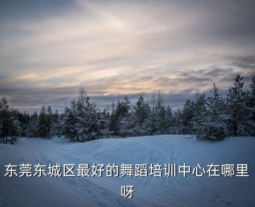 東莞東城區最好的舞蹈培訓中心在哪里呀