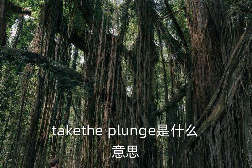plunge,財政預(yù)算案2021年第一季經(jīng)濟數(shù)據(jù)
