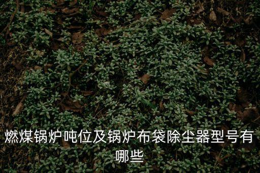 燃煤鍋爐噸位及鍋爐布袋除塵器型號有哪些