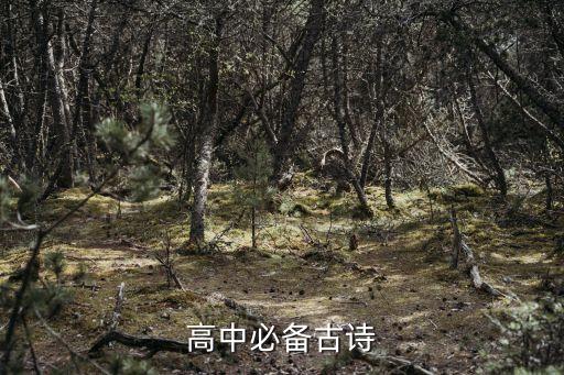 高中必備古詩