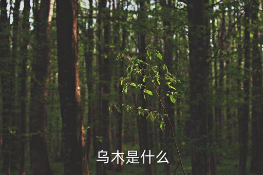 烏木,烏木1功能:烏木是指非洲黑木