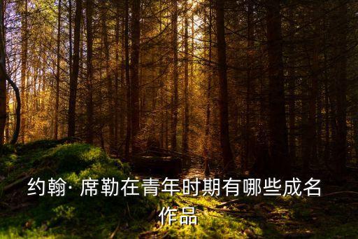 席勒作品,德國詩人勒勒以夸張藝術形式創作長篇小說《強盜》