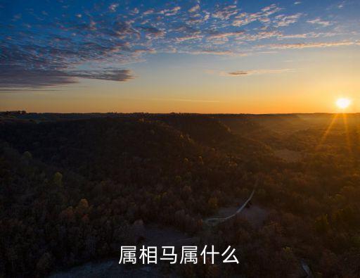 生肖馬，屬相馬屬什么