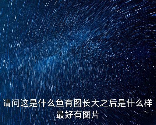 芋圓圖片，請問這是什么魚有圖長大之后是什么樣最好有圖片