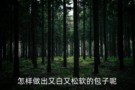 新手做包子，問下新手怎么學(xué)做包子