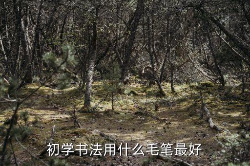 初學書法用什么毛筆最好