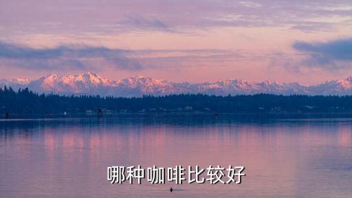 什么咖啡好，哪種咖啡比較好喝
