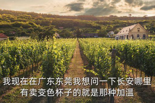 我現(xiàn)在在廣東東莞我想問一下長安哪里有賣變色杯子的就是那種加溫
