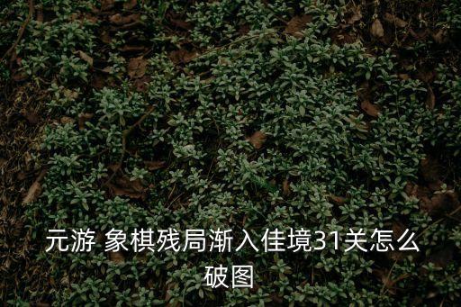 元游象棋,馬后炮再加看路的棋子形成絕殺之勢(shì)