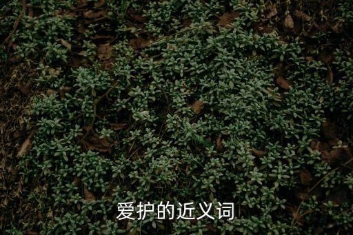 愛(ài)護(hù)的近義詞