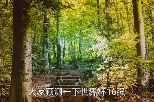 大家預測一下世界杯16強