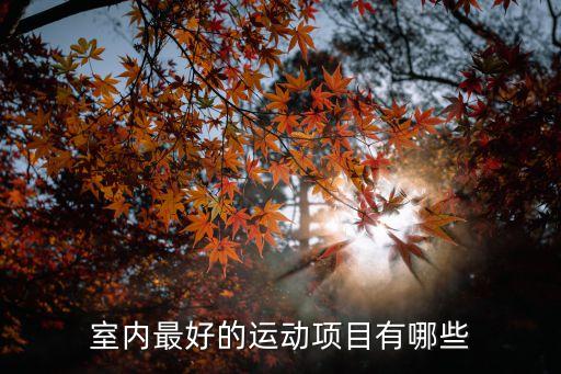 室內最好的運動項目有哪些