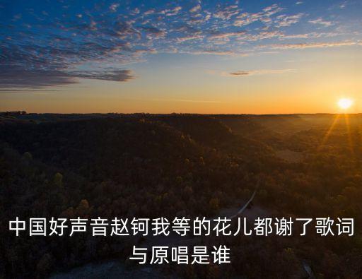 趙雷中國好聲音，趙雷 什么時候參加中國好歌曲的