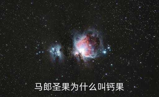 第三代水果,北京奧運會獎水果專賣區(qū)增新樹樹形酷似一棵小黑桑