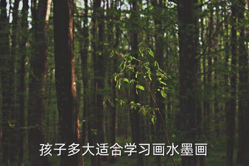 孩子多大適合學習畫水墨畫