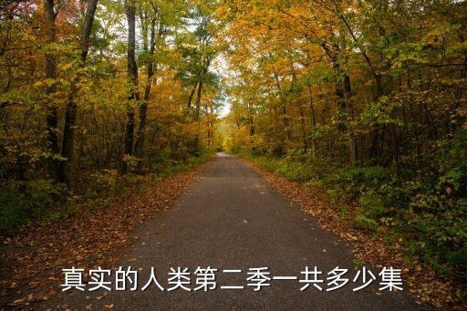 真實的人類第二季一共多少集