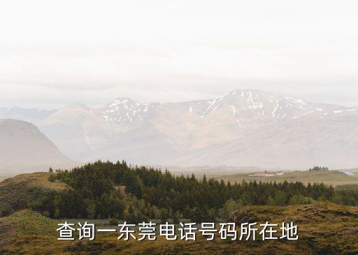 東莞寶龍金屬有限公司電話號碼，龍崗寶龍新基德地址公司電話郵編