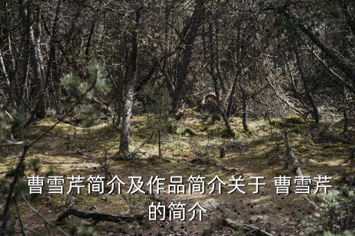 曹雪芹簡介,第二集:回到北京老房子感受世態炎涼