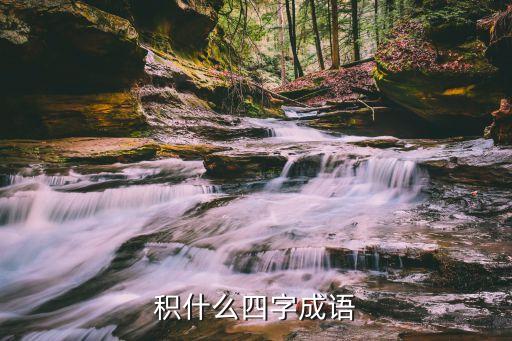 積什么四字成語