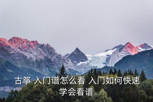  古箏 入門譜怎么看 入門如何快速學會看譜