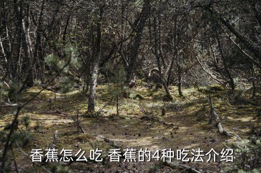  香蕉怎么吃 香蕉的4種吃法介紹