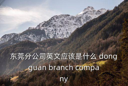 東莞分公司英文應(yīng)該是什么 dongguan branch company