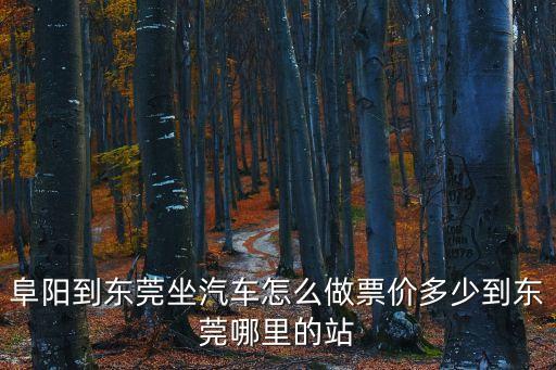 阜陽(yáng)到東莞汽車(chē)車(chē)票多少錢(qián)，阜陽(yáng)到東莞坐汽車(chē)怎么做票價(jià)多少到東莞哪里的站