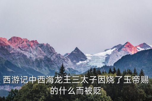 西游記中西海龍王三太子因燒了玉帝賜的什么而被貶